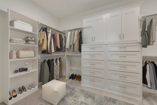 spacious closet with light carpet