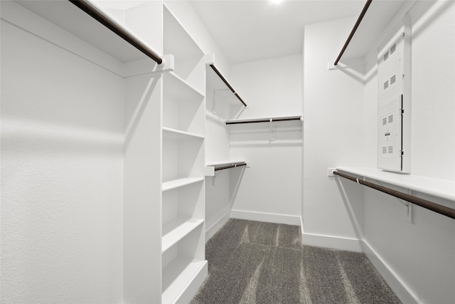 walk in closet with dark colored carpet