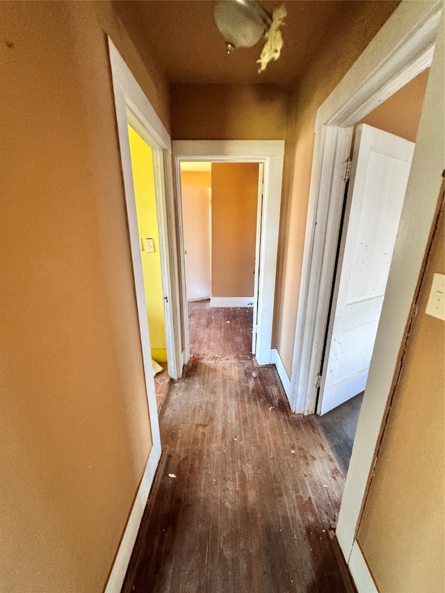 hall featuring dark hardwood / wood-style flooring