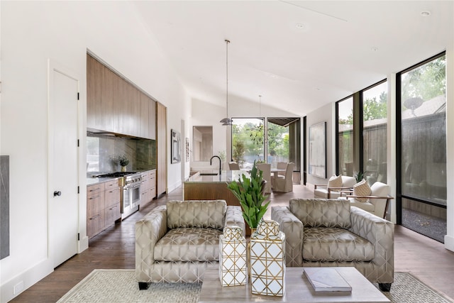 living room with sink, vaulted ceiling, and dark wood-type flooring