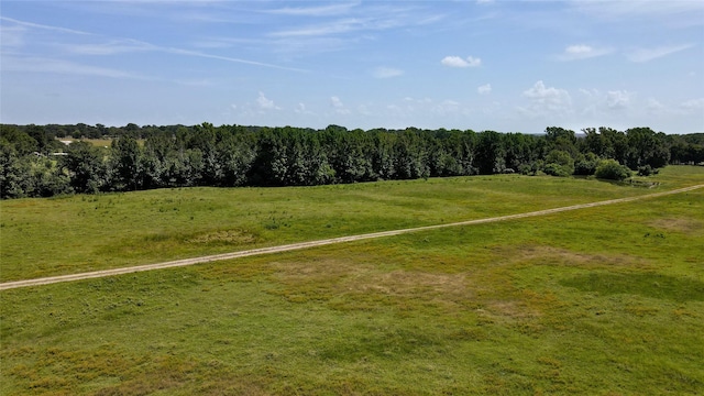 view of yard featuring a rural view