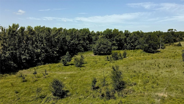 view of local wilderness