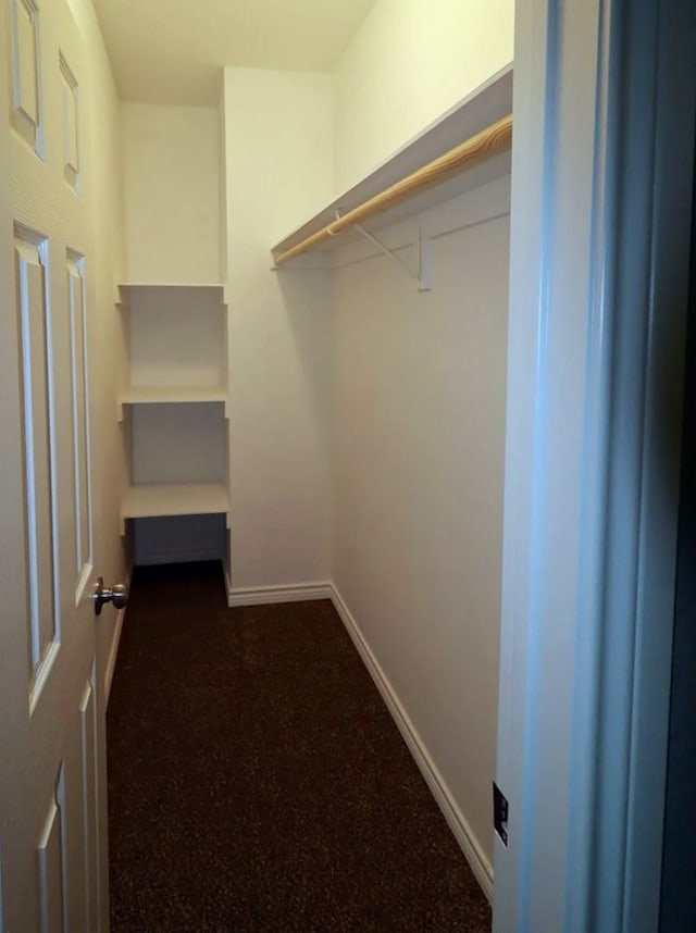 walk in closet with dark colored carpet