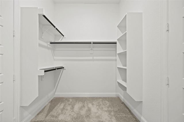 spacious closet featuring light colored carpet