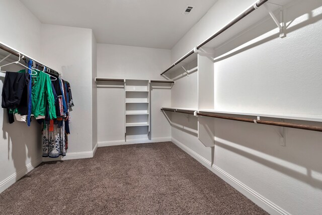 walk in closet featuring carpet