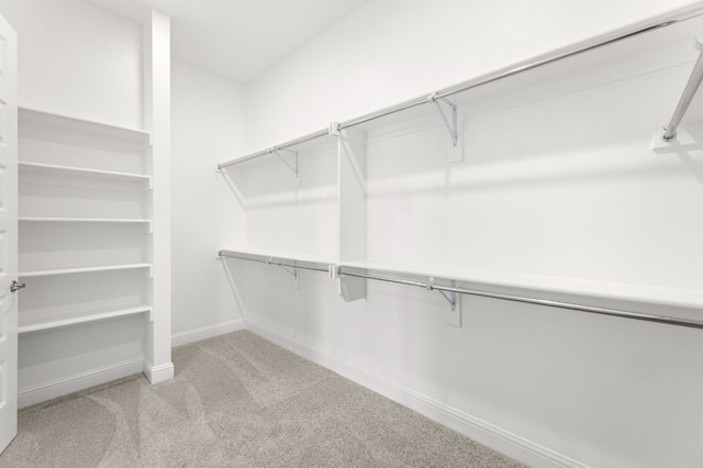 spacious closet with light colored carpet