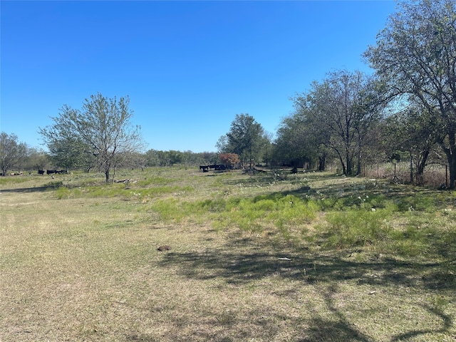 TBD Lcr 209, Mexia TX, 76667 land for sale