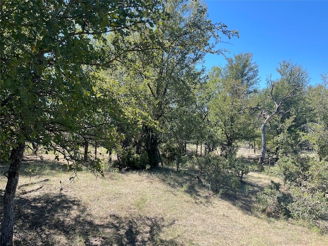 Listing photo 3 for TBD Lcr 209, Mexia TX 76667