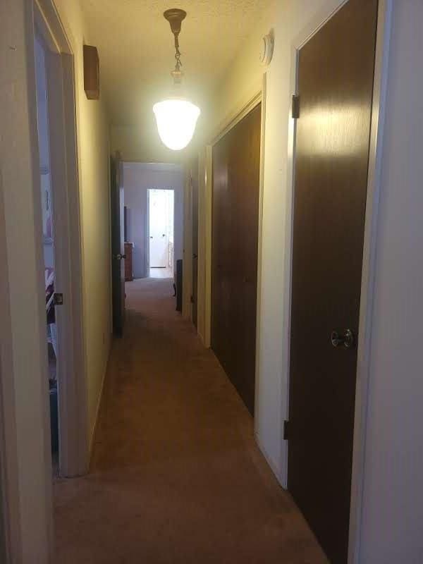 view of hallway
