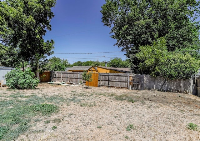 view of yard with a storage shed