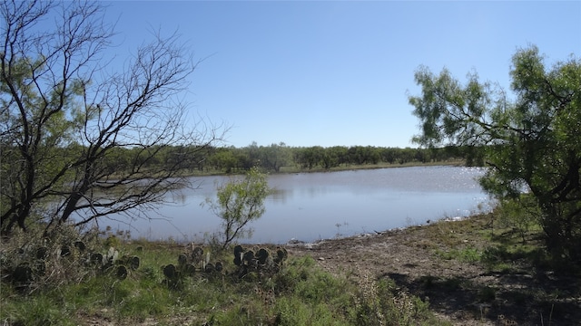 Listing photo 2 for TBD Highway 283, Baird TX 79504