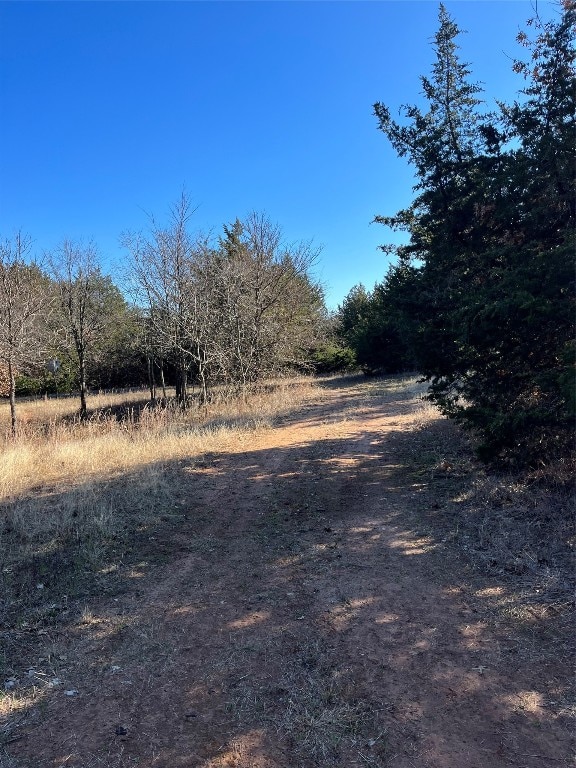 Listing photo 3 for TBD County Rd 108, Whitesboro TX 76273