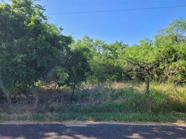 Listing photo 2 for TBD Parker Hill Rd, Palmer TX 75152