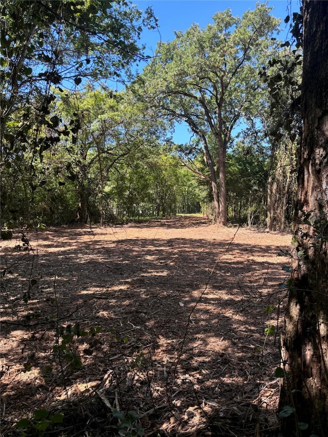 Listing photo 2 for TBD Triple N Ranch, Trinidad TX 75163