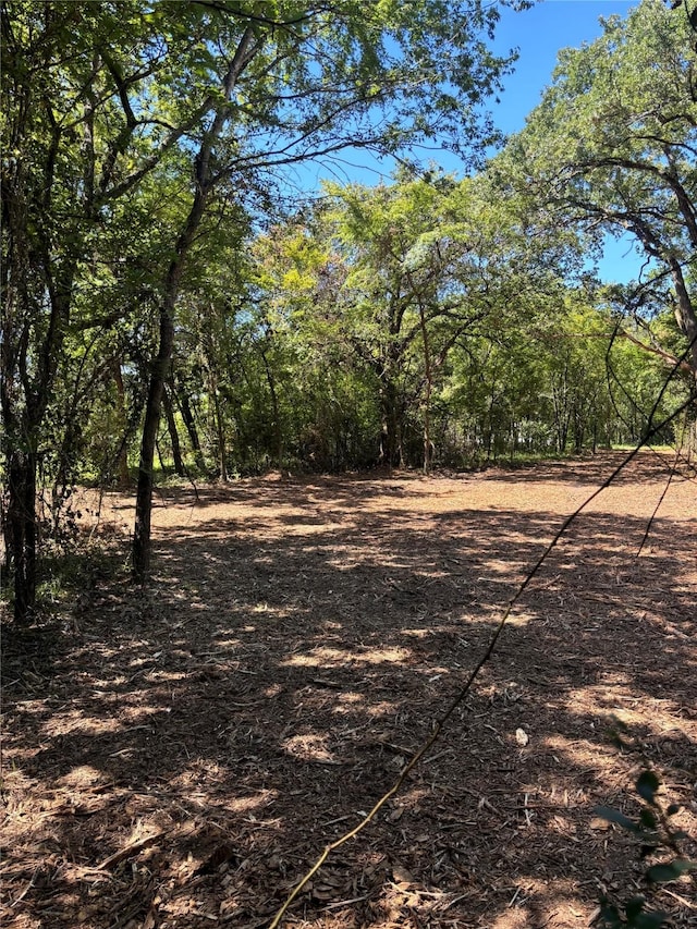 Listing photo 3 for TBD Triple N Ranch, Trinidad TX 75163