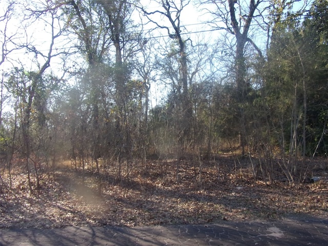 Listing photo 2 for tbd Briar Hill, Murchison TX 75778