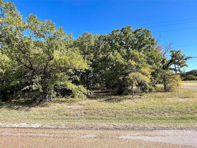 0 Water Oak Rd, Trinidad TX, 75163 land for sale