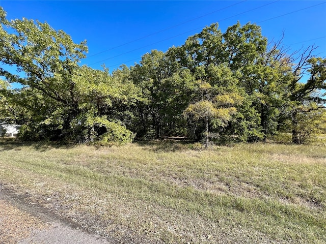 Listing photo 3 for 0 Water Oak Rd, Trinidad TX 75163