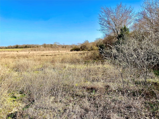 Listing photo 3 for TBD Vz County Road 4105, Canton TX 75103