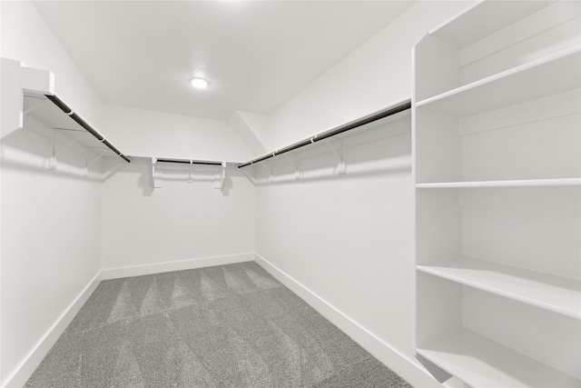 walk in closet with carpet floors