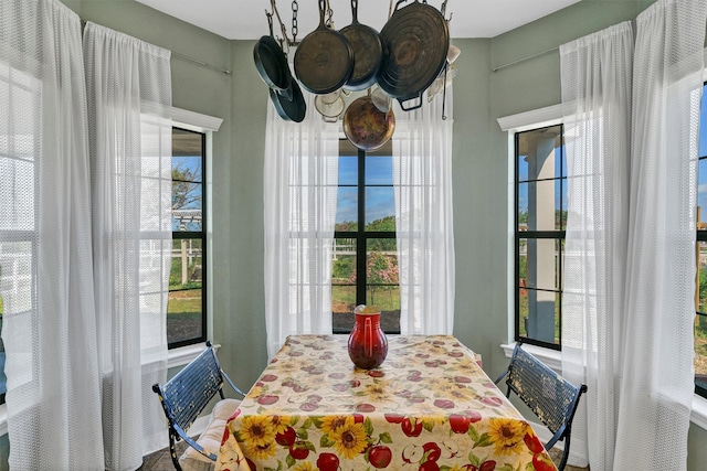 dining space featuring a wealth of natural light