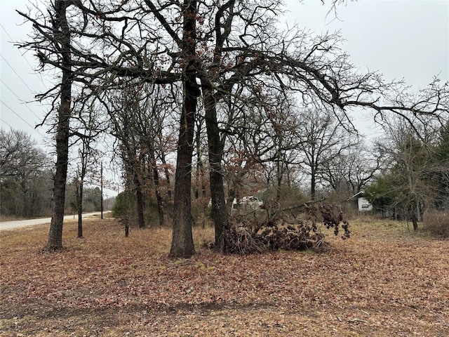 Listing photo 3 for 146 Shallowater Rd, Mabank TX 75156