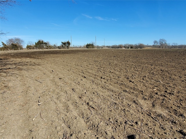 Listing photo 3 for TBD County Road 4665, Leonard TX 75452