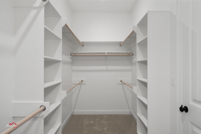 walk in closet with carpet