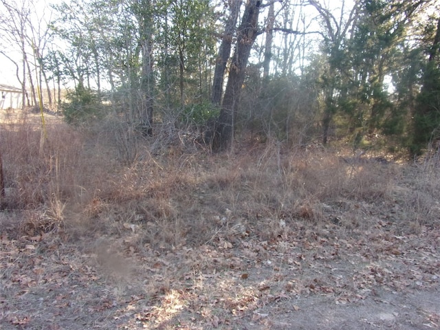 522 Holly Gln, Murchison TX, 75778 land for sale