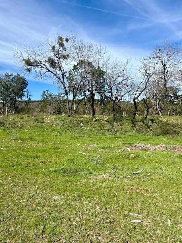 Listing photo 3 for 4171 Pleasant Valley Rd, Mineral Wells TX 76067