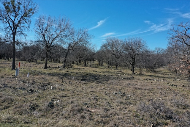 TBD Grand Harbor Blvd, Chico TX, 76431 land for sale