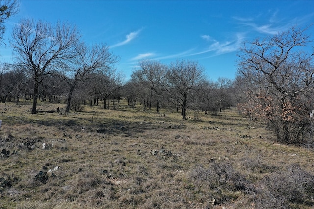 Listing photo 3 for TBD Grand Harbor Blvd, Chico TX 76431