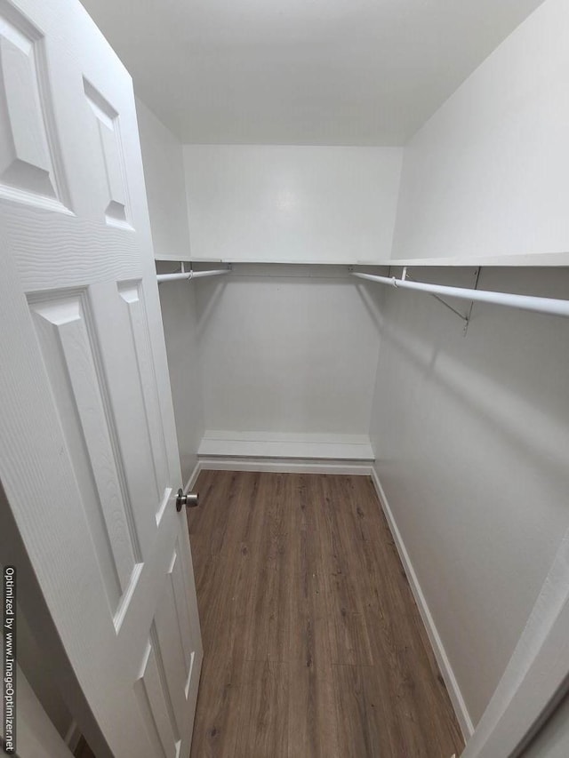 walk in closet featuring dark hardwood / wood-style floors