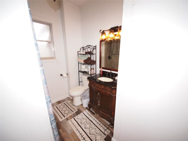 bathroom featuring vanity, wood-type flooring, and toilet