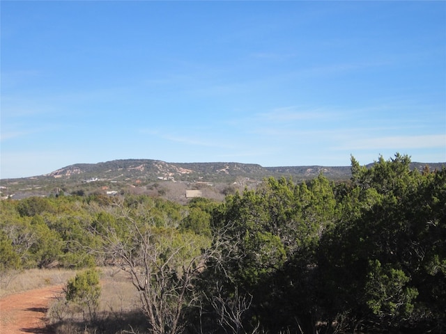 Listing photo 2 for TBD Pecan St, Buffalo Gap TX 79508