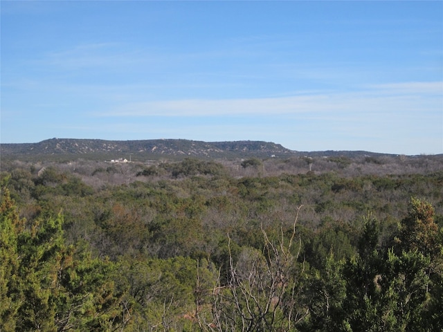 Listing photo 3 for TBD Pecan St, Buffalo Gap TX 79508