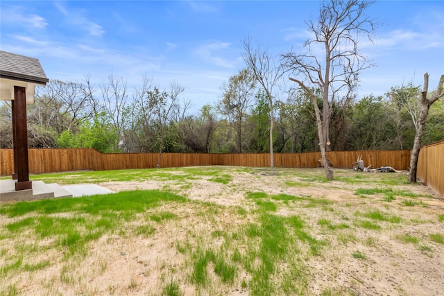 view of yard featuring a patio