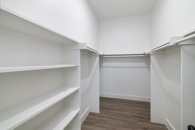 walk in closet with dark wood-style floors