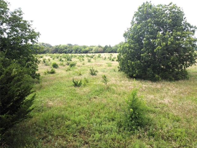 Listing photo 3 for LOT6 Crk 1400, Ravenna TX 75476