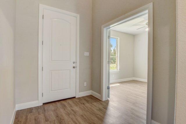 foyer featuring ceiling fan and light wood-type flooring