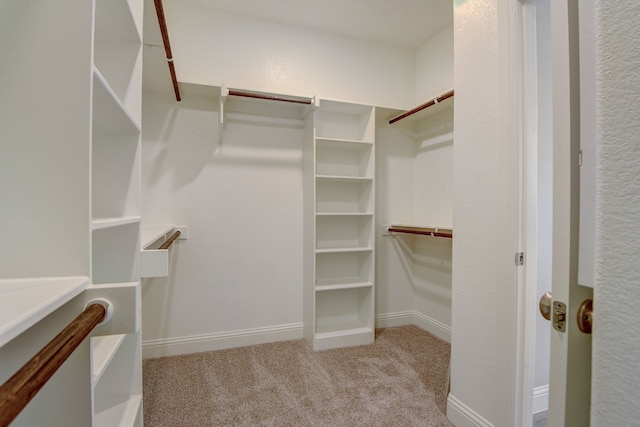 spacious closet with light colored carpet