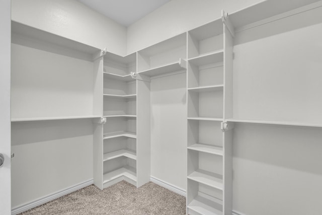 227 Rio Grande, Abilene, TX 79606 - walk in closet featuring carpet floors