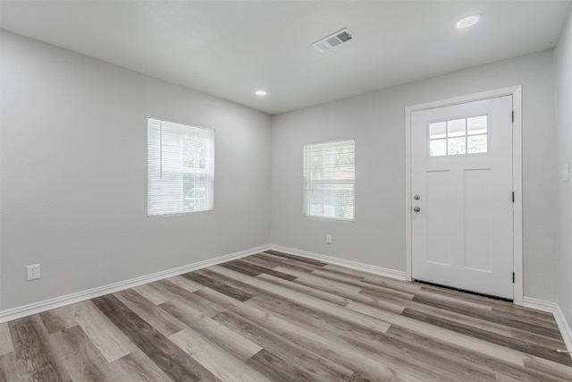 entryway featuring a wealth of natural light and light wood-type flooring