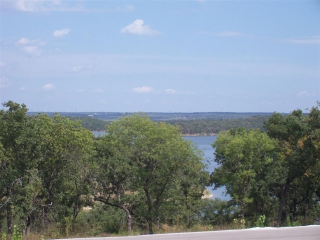 LOT362 Moonlight Bay Dr, Chico TX, 76431 land for sale