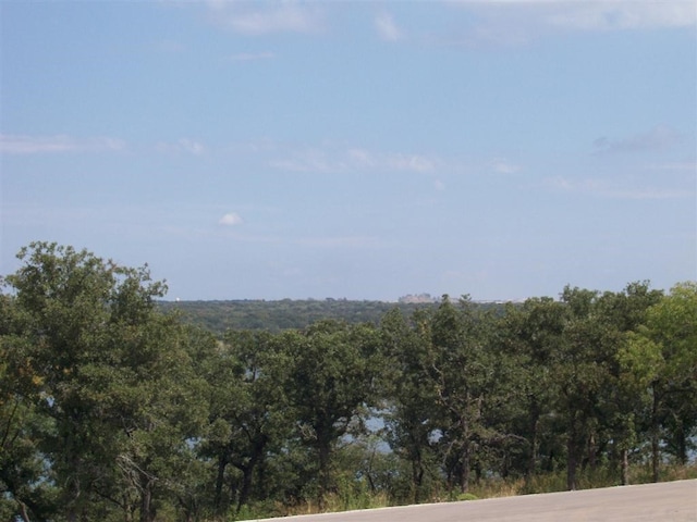 Listing photo 2 for LOT362 Moonlight Bay Dr, Chico TX 76431