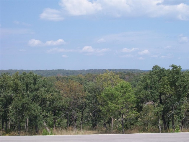 Listing photo 3 for LOT362 Moonlight Bay Dr, Chico TX 76431