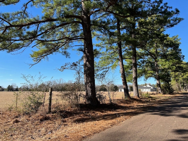 Listing photo 3 for tbd County Road 4840, Winnsboro TX 75494