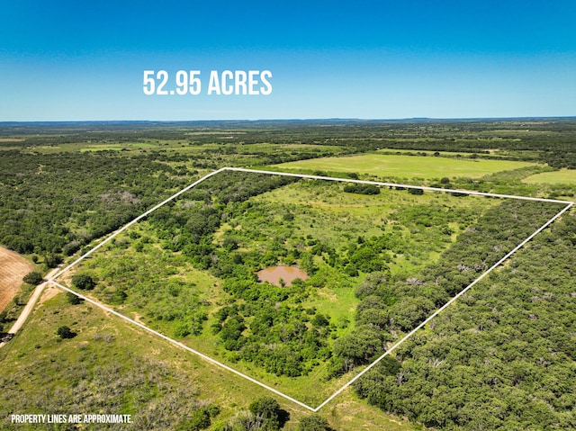 TBD Cr 195, Gorman TX, 76454 land for sale