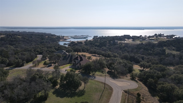 42046 Crooked Stick Dr, Whitney TX, 76692 land for sale