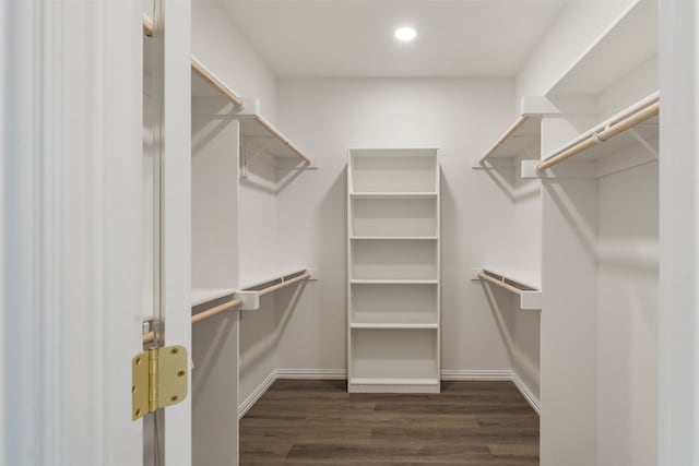 walk in closet with dark hardwood / wood-style floors